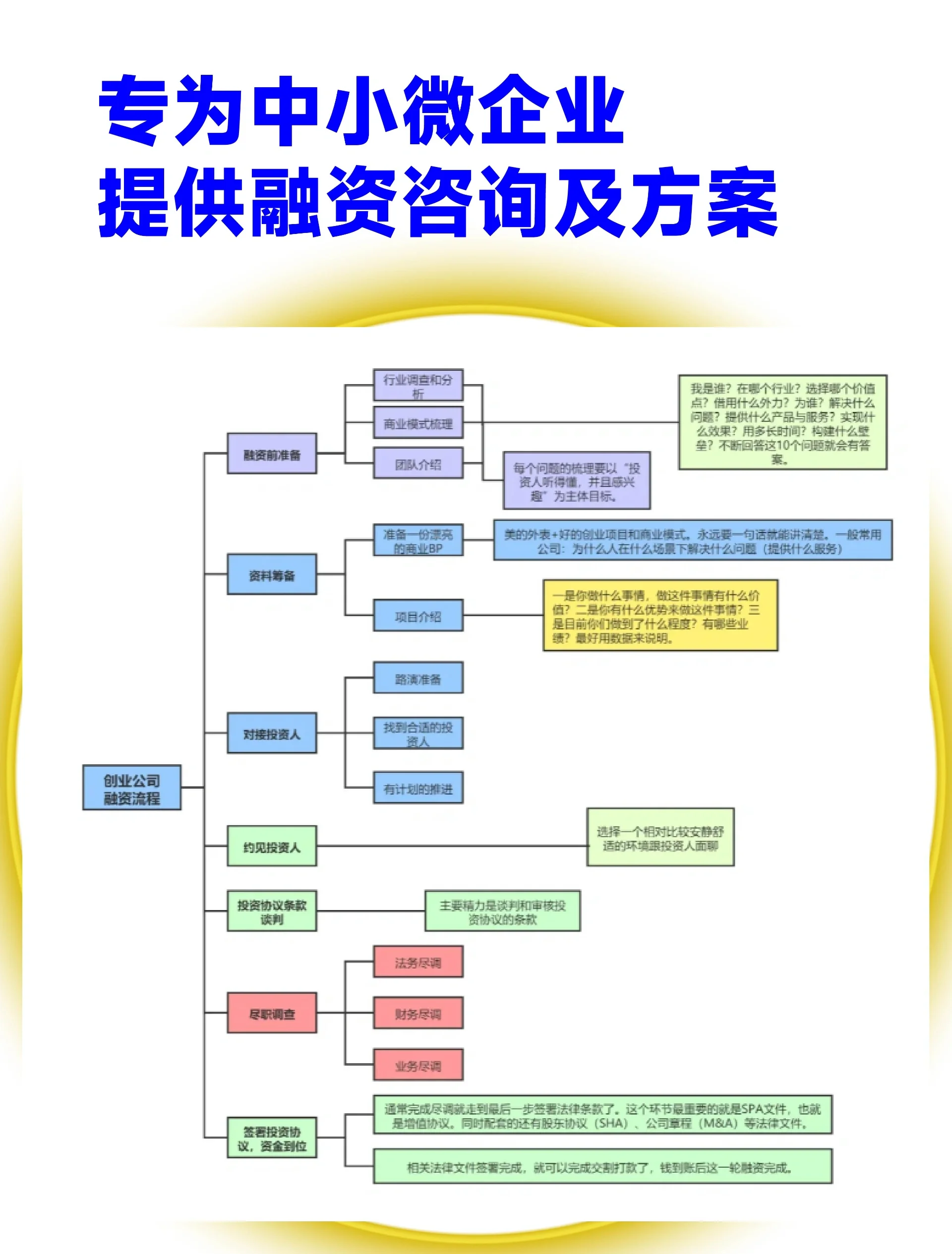 西昌市宠物企业资金管理(宠物管理机构叫什么)