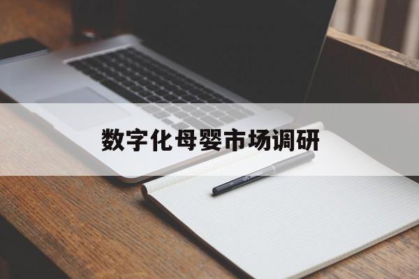 西昌市数字化母婴市场调研(数字化母婴市场调研报告)