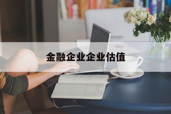 西昌市金融企业企业估值(最新企业估值怎么填)